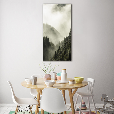 Tableau verre acrylique Brume sur la forêt