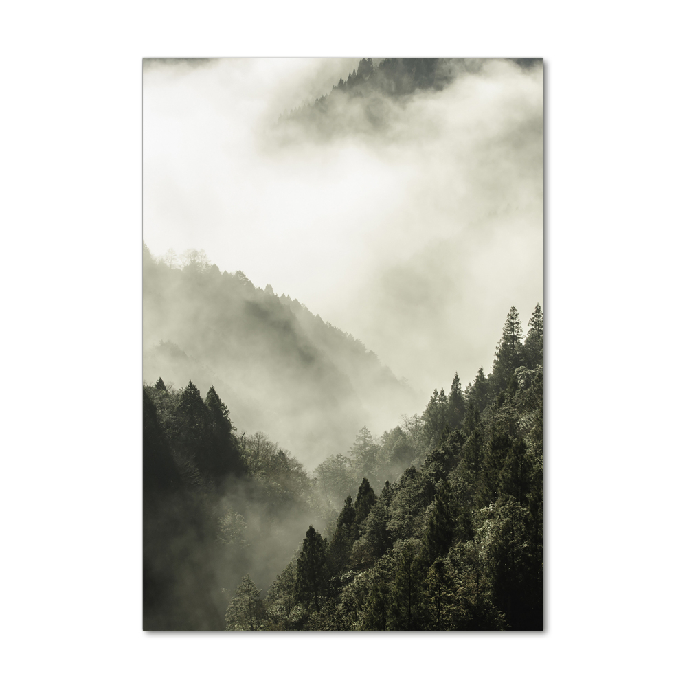 Tableau verre acrylique Brume sur la forêt