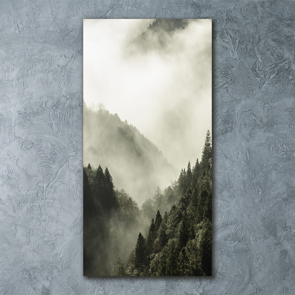 Tableau verre acrylique Brume sur la forêt