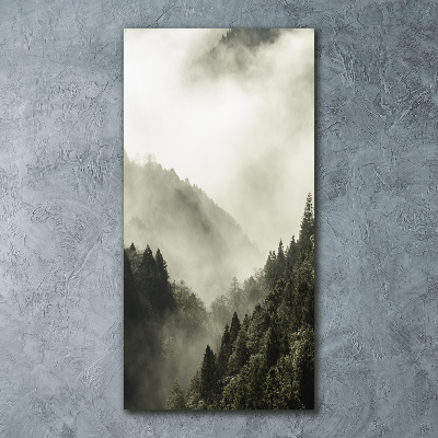 Tableau verre acrylique Brume sur la forêt