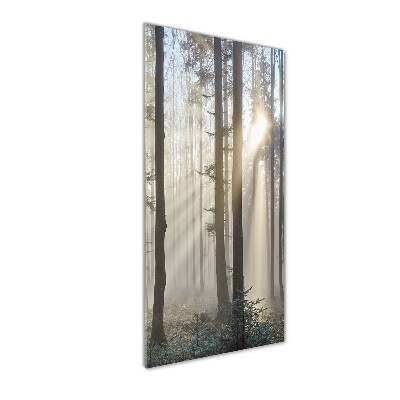 Tableau sur verre acrylique Brume dans la forêt