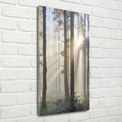 Tableau sur verre acrylique Brume dans la forêt