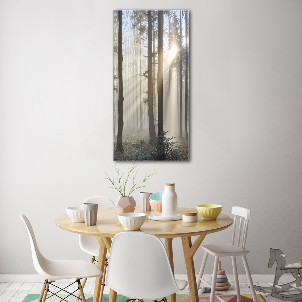 Tableau sur verre acrylique Brume dans la forêt