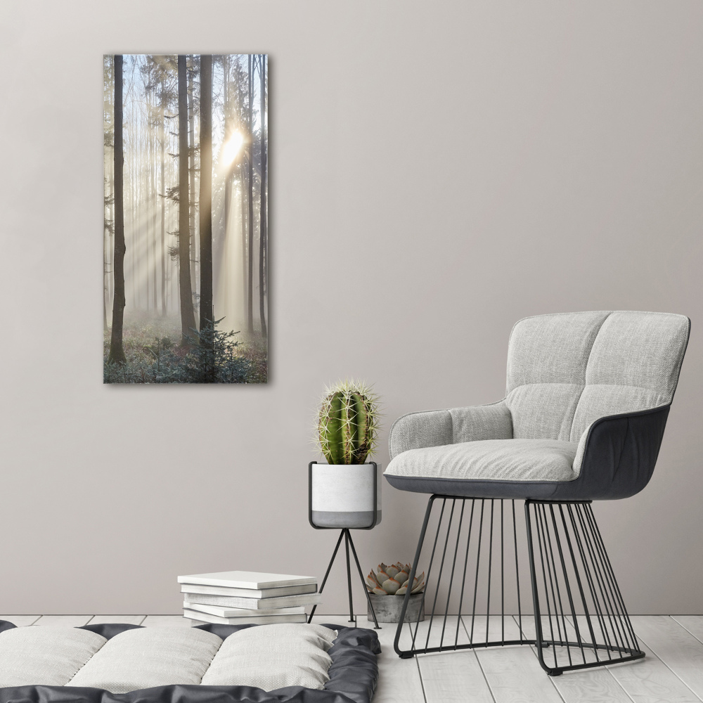 Tableau sur verre acrylique Brume dans la forêt