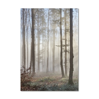 Tableau sur verre acrylique Brume dans la forêt