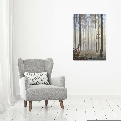 Tableau sur verre acrylique Brume dans la forêt