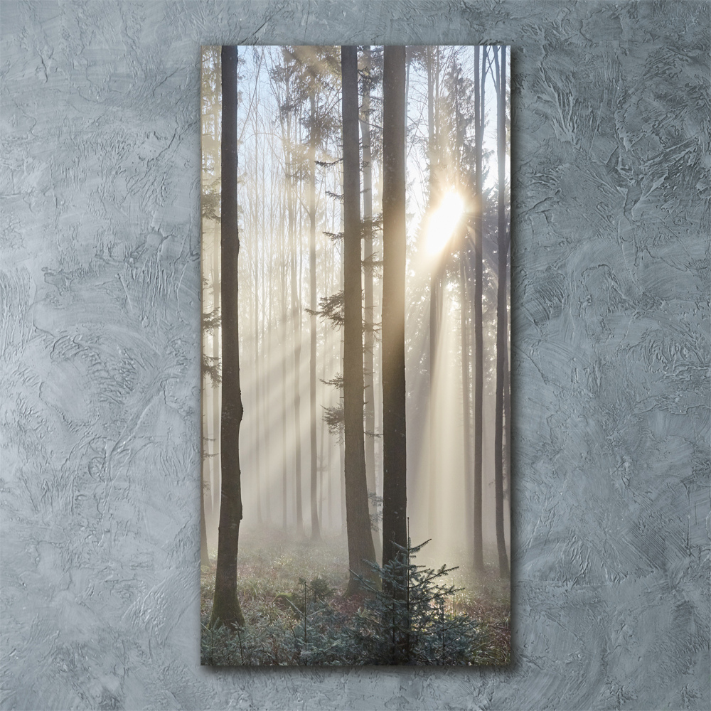 Tableau sur verre acrylique Brume dans la forêt