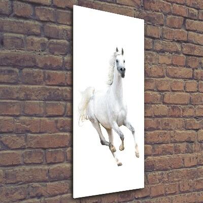 Tableau verre acrylique Cheval blanc au galop