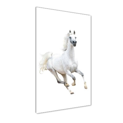 Tableau verre acrylique Cheval blanc au galop