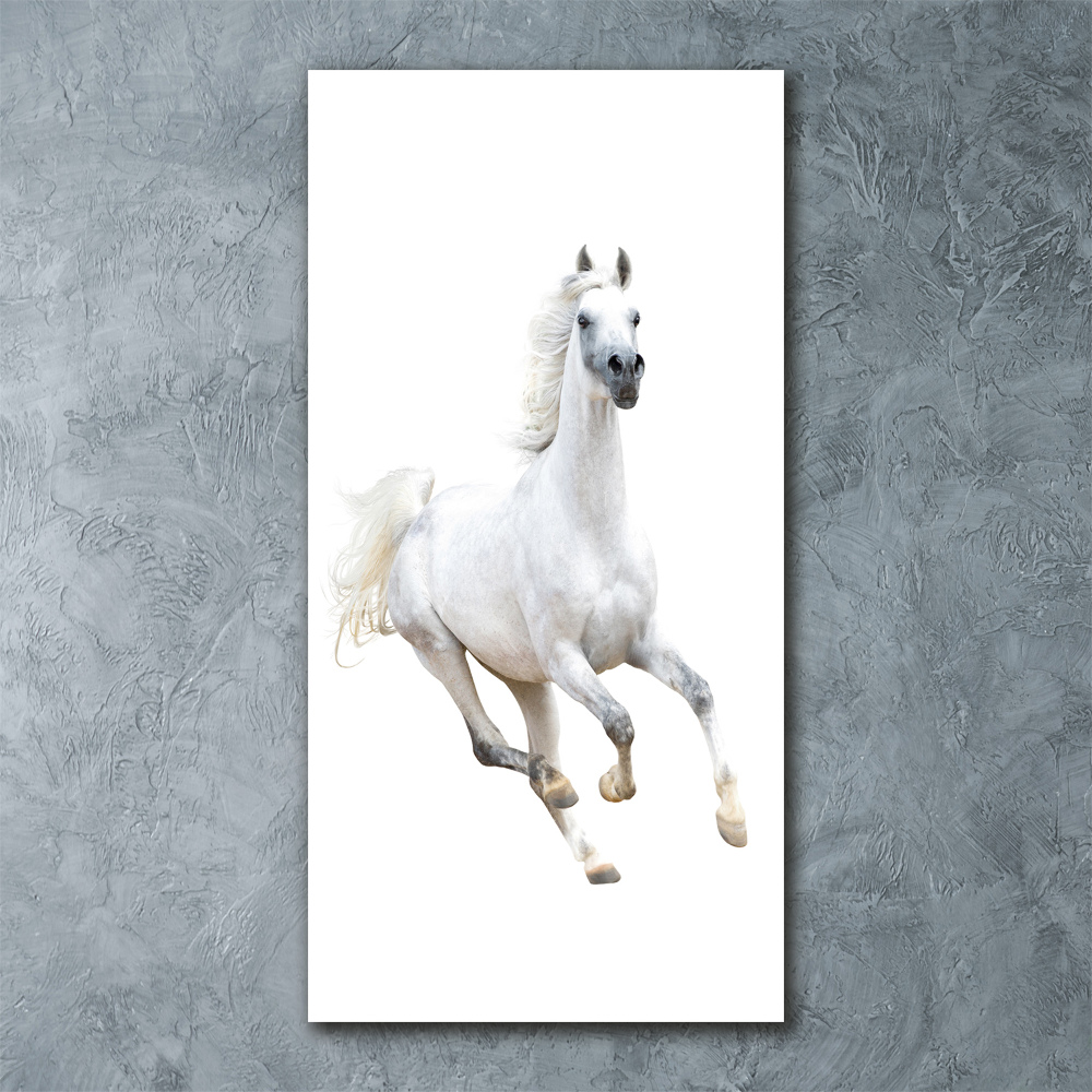 Tableau verre acrylique Cheval blanc au galop