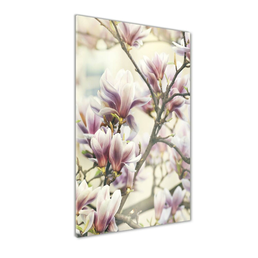 Tableau en acrylique Fleur de magnolia