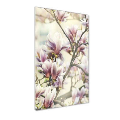 Tableau en acrylique Fleur de magnolia