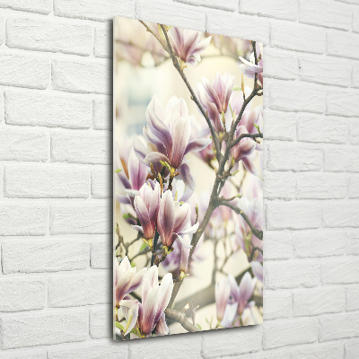 Tableau en acrylique Fleur de magnolia