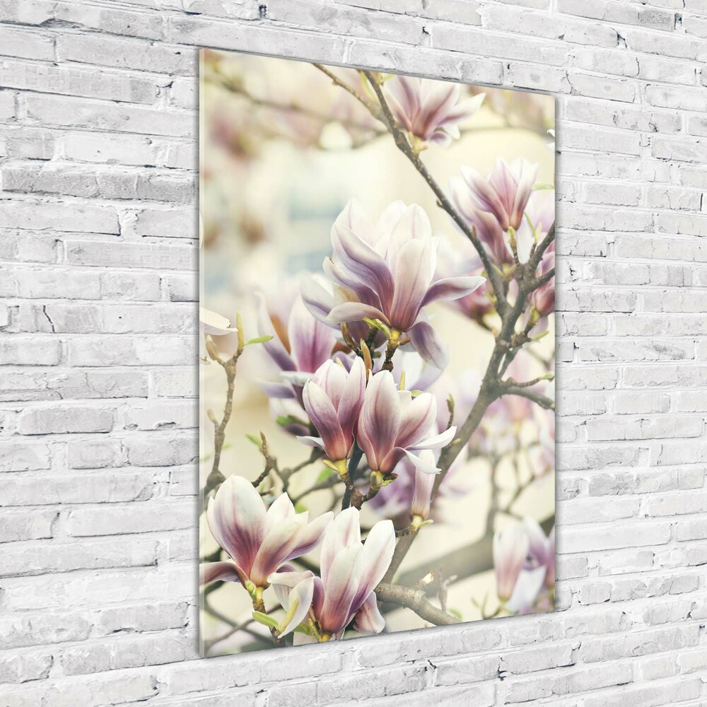 Tableau en acrylique Fleur de magnolia