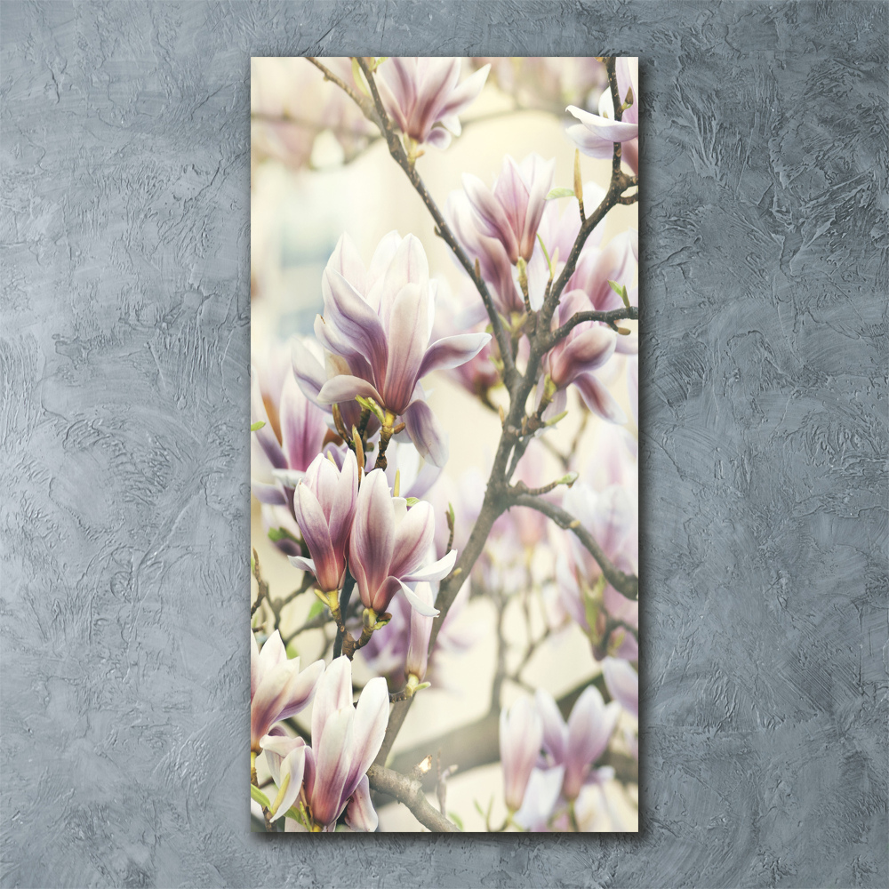 Tableau en acrylique Fleur de magnolia