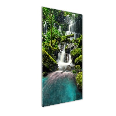 Tableau verre acrylique Chute d'eau dans la jungle