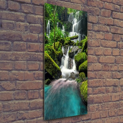 Tableau verre acrylique Chute d'eau dans la jungle