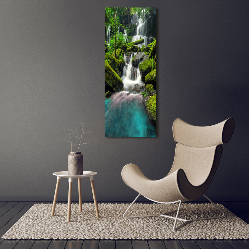 Tableau verre acrylique Chute d'eau dans la jungle