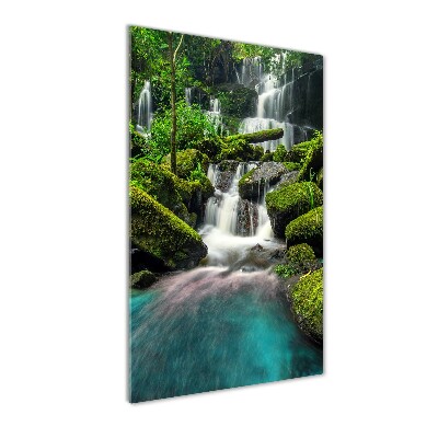 Tableau verre acrylique Chute d'eau dans la jungle