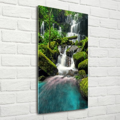 Tableau verre acrylique Chute d'eau dans la jungle