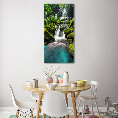 Tableau verre acrylique Chute d'eau dans la jungle