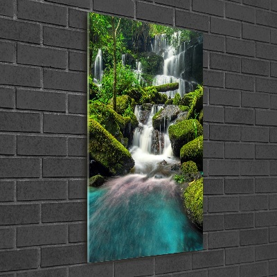 Tableau verre acrylique Chute d'eau dans la jungle