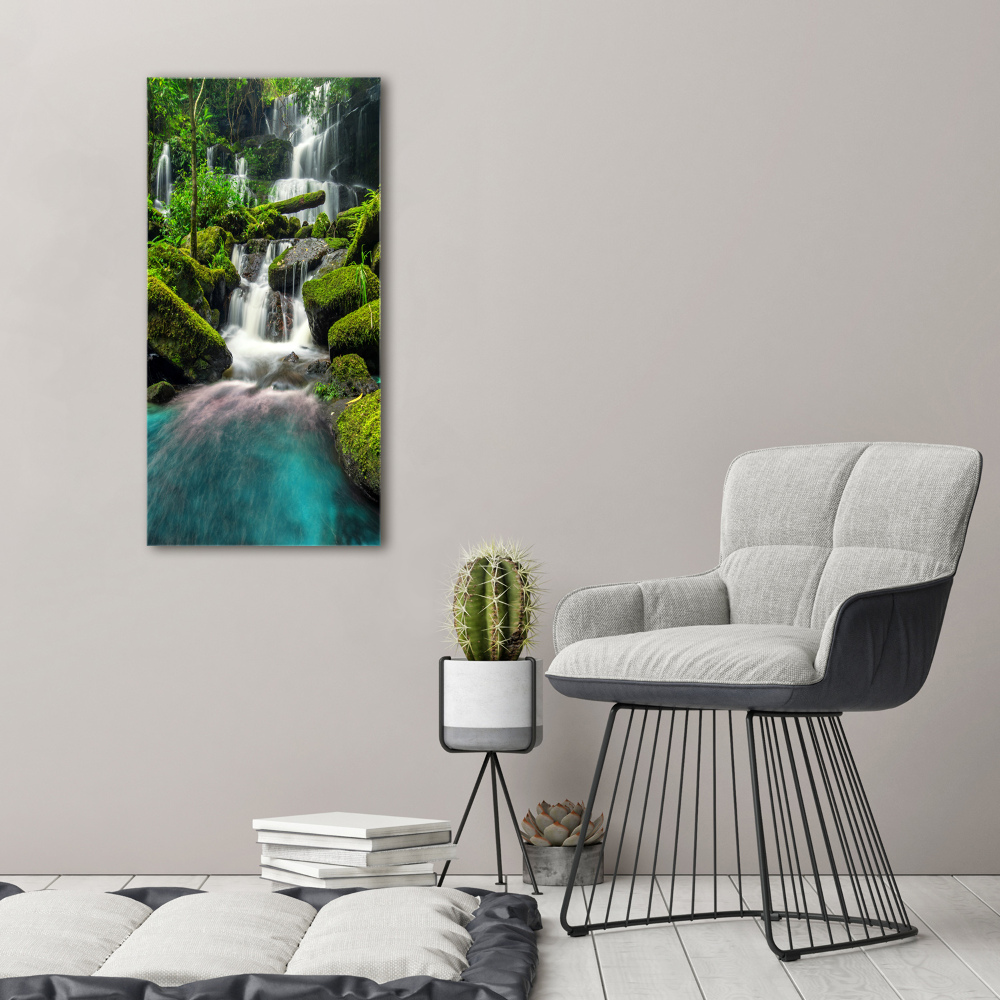 Tableau verre acrylique Chute d'eau dans la jungle