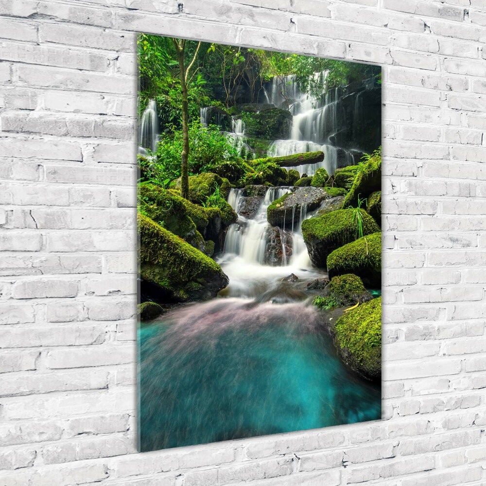 Tableau verre acrylique Chute d'eau dans la jungle