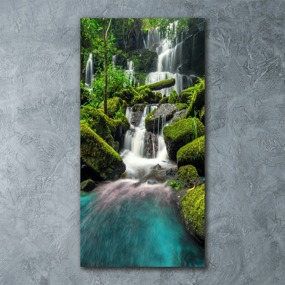 Tableau verre acrylique Chute d'eau dans la jungle