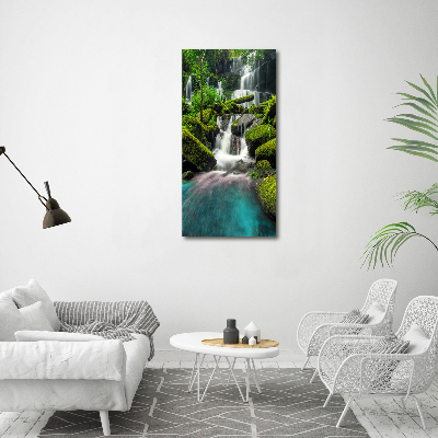 Tableau verre acrylique Chute d'eau dans la jungle