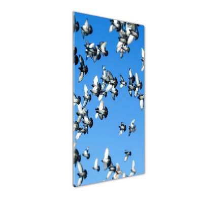 Tableau sur verre acrylique Pigeons dans le ciel