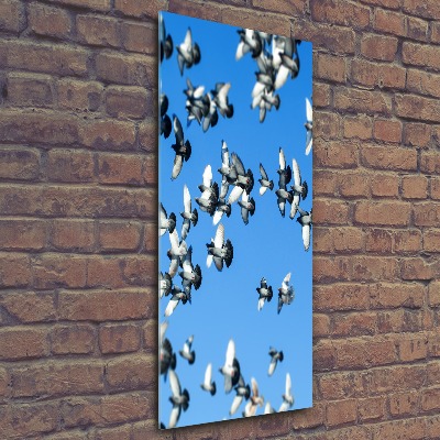 Tableau sur verre acrylique Pigeons dans le ciel