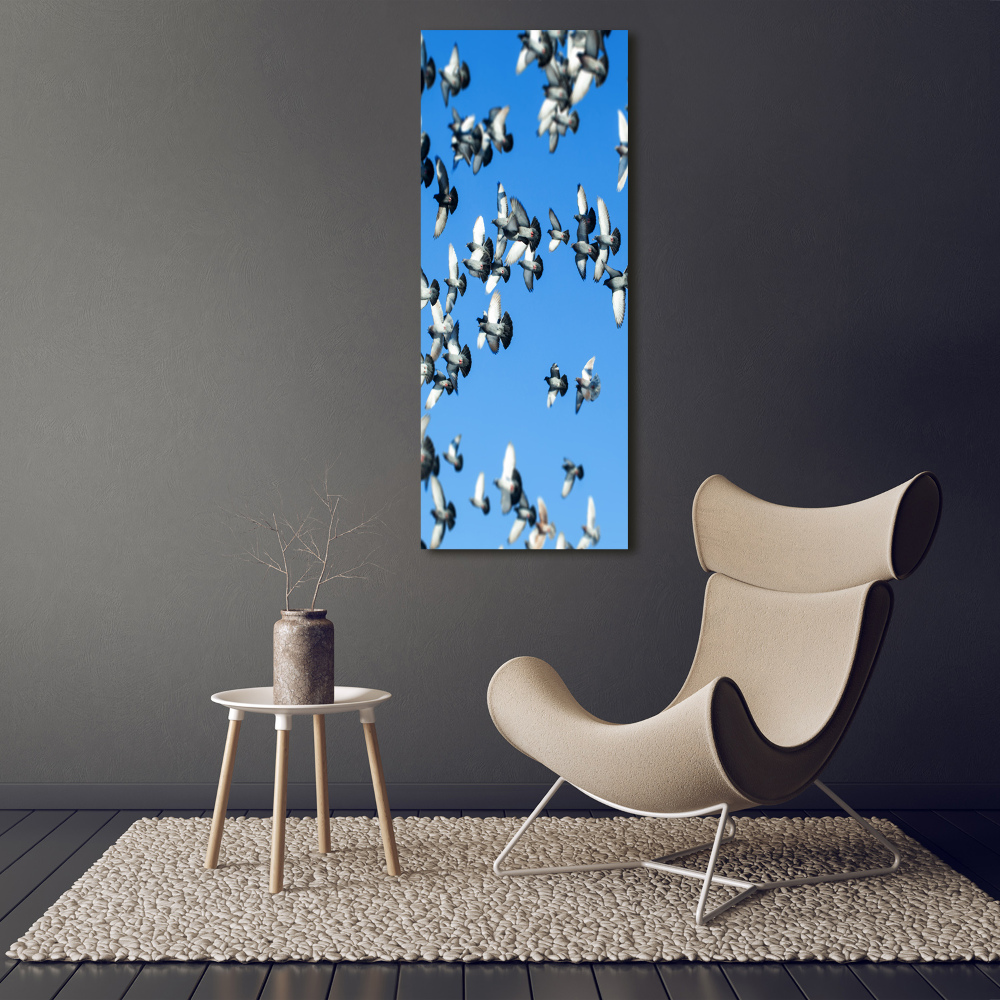 Tableau sur verre acrylique Pigeons dans le ciel