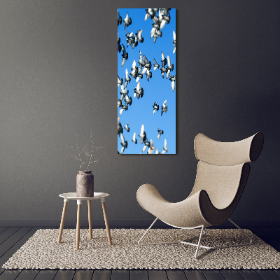 Tableau sur verre acrylique Pigeons dans le ciel