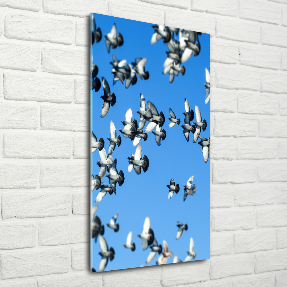 Tableau sur verre acrylique Pigeons dans le ciel