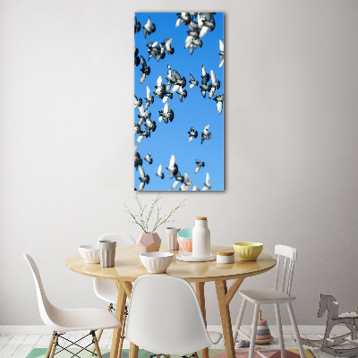 Tableau sur verre acrylique Pigeons dans le ciel