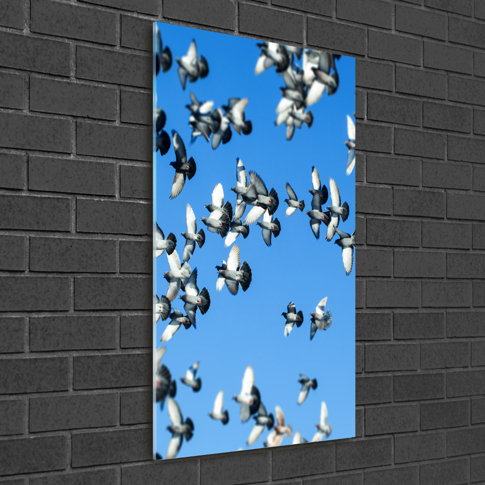 Tableau sur verre acrylique Pigeons dans le ciel