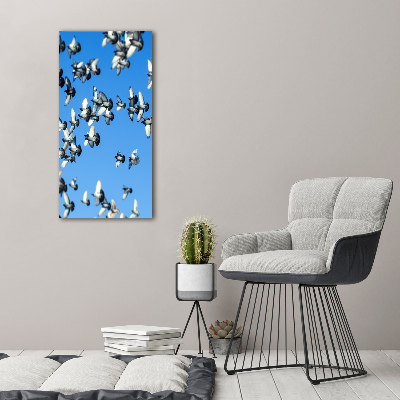 Tableau sur verre acrylique Pigeons dans le ciel