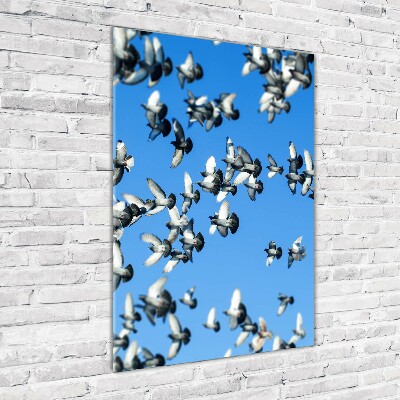 Tableau sur verre acrylique Pigeons dans le ciel