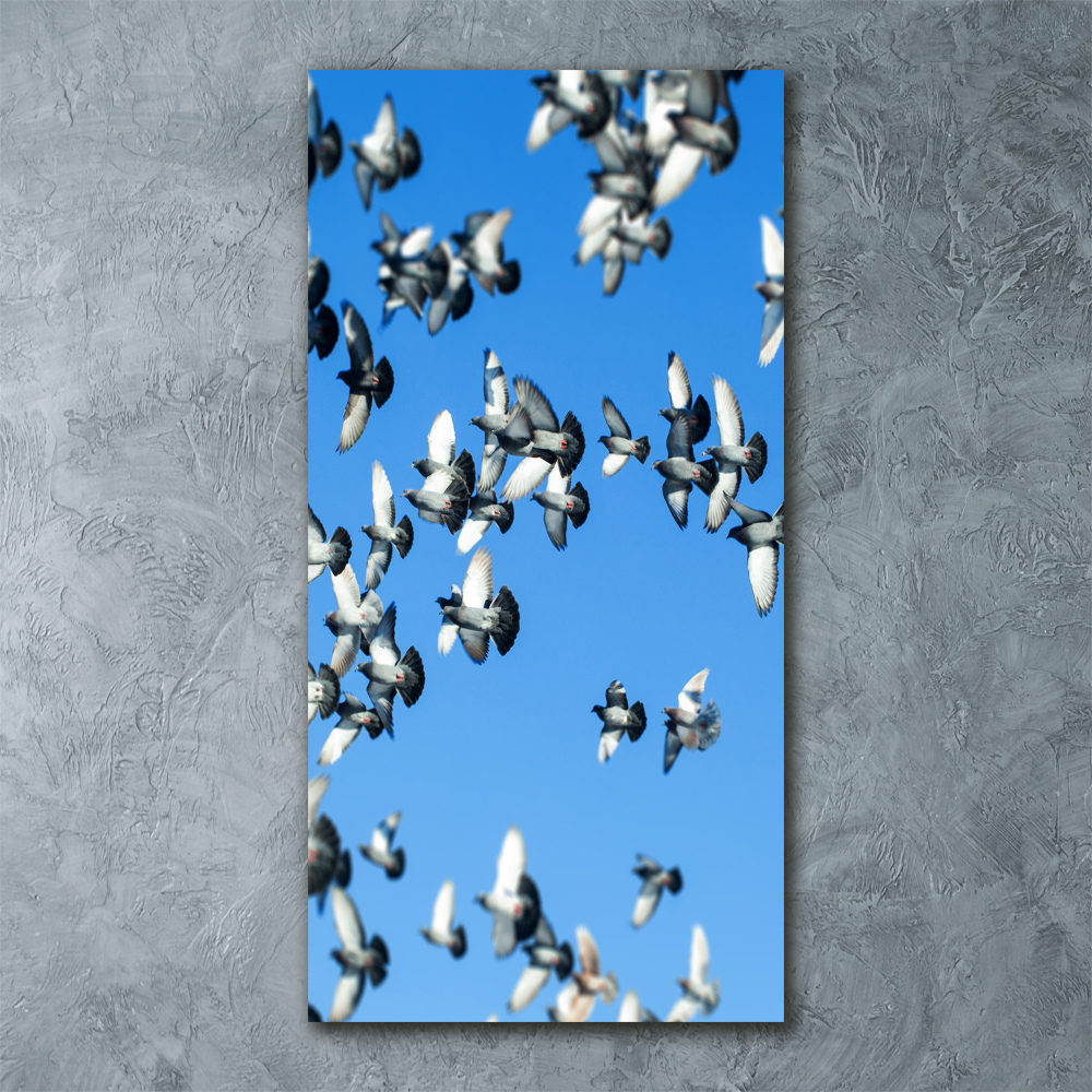 Tableau sur verre acrylique Pigeons dans le ciel