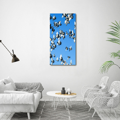 Tableau sur verre acrylique Pigeons dans le ciel