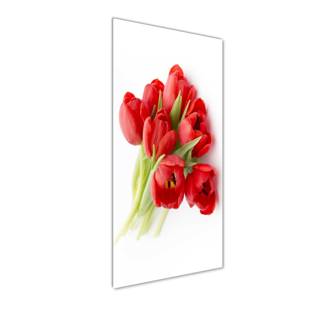 Tableau verre acrylique Tulipes rouges