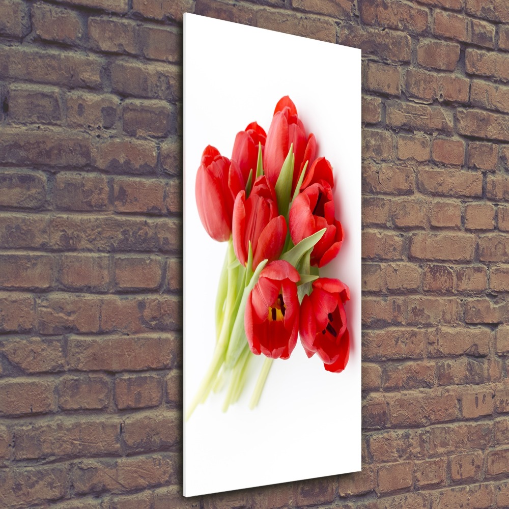 Tableau verre acrylique Tulipes rouges