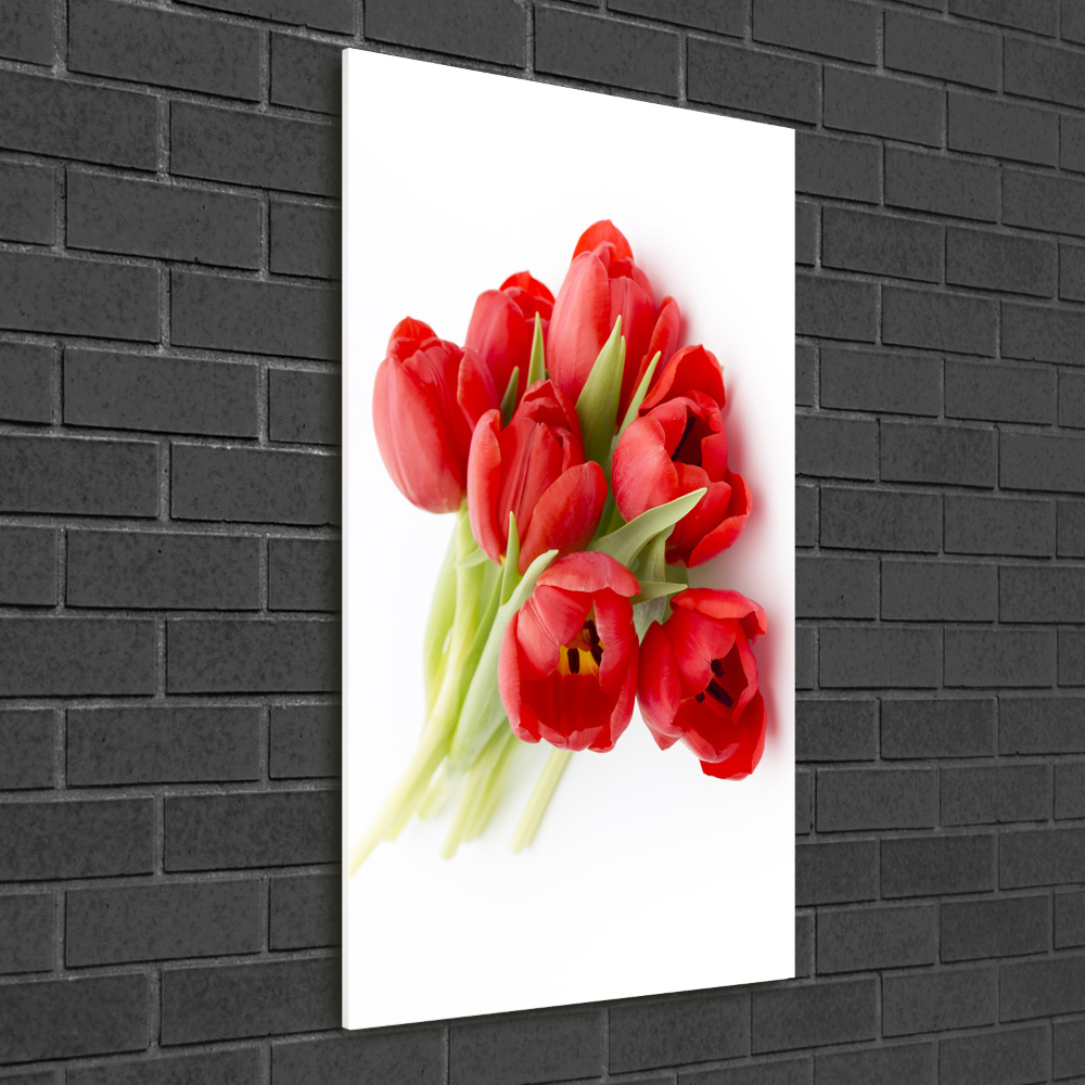 Tableau verre acrylique Tulipes rouges