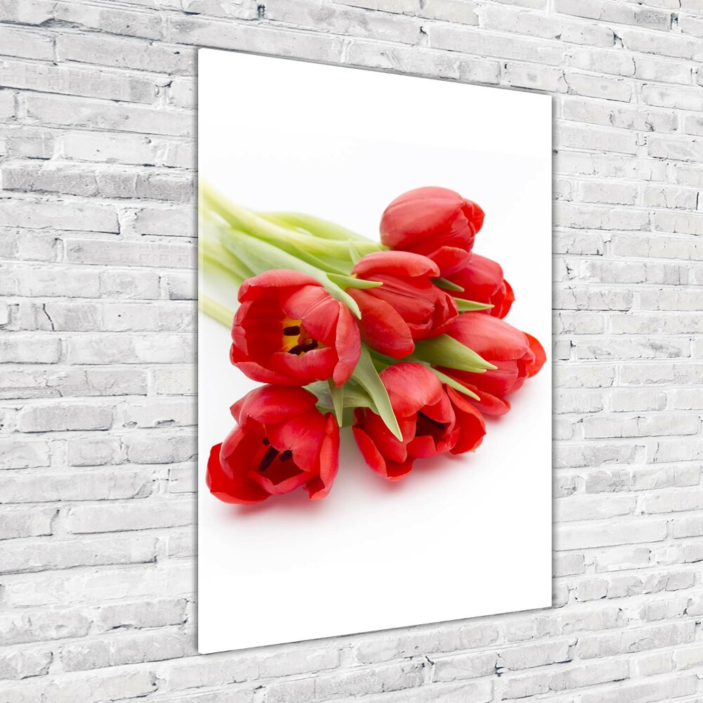 Tableau verre acrylique Tulipes rouges