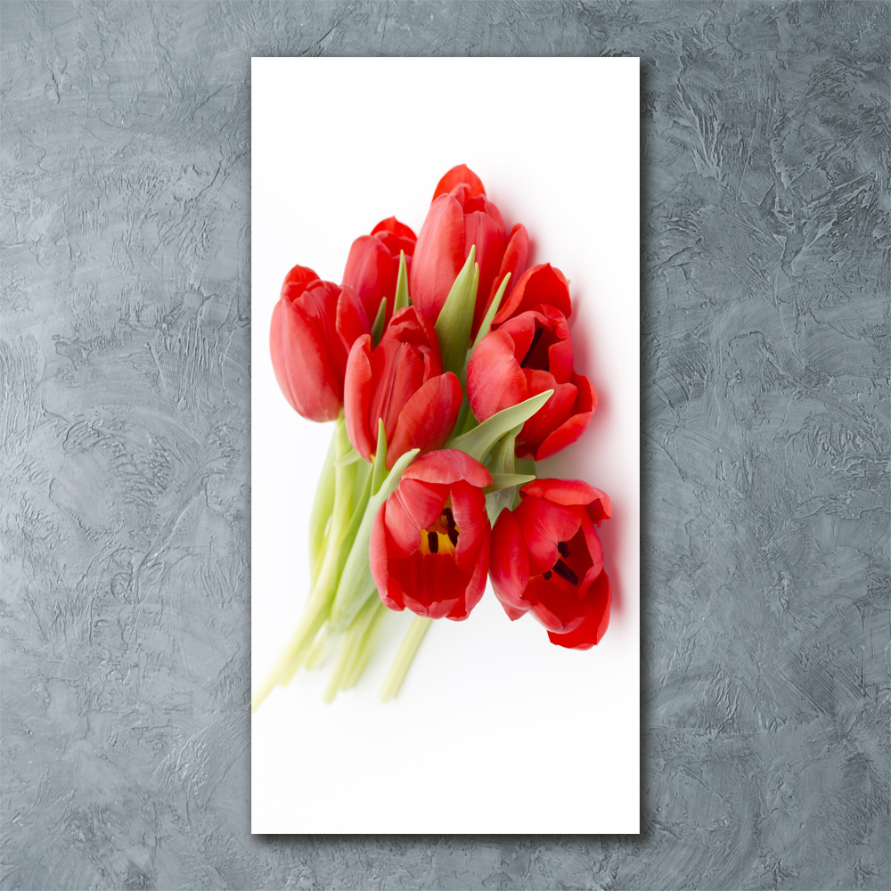 Tableau verre acrylique Tulipes rouges