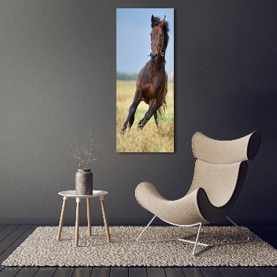 Tableau acrylique Cheval dans un champ