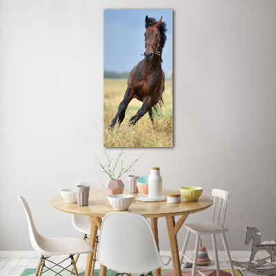 Tableau acrylique Cheval dans un champ