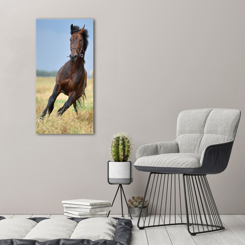 Tableau acrylique Cheval dans un champ