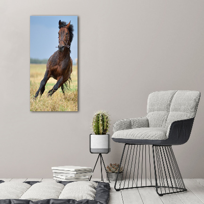 Tableau acrylique Cheval dans un champ